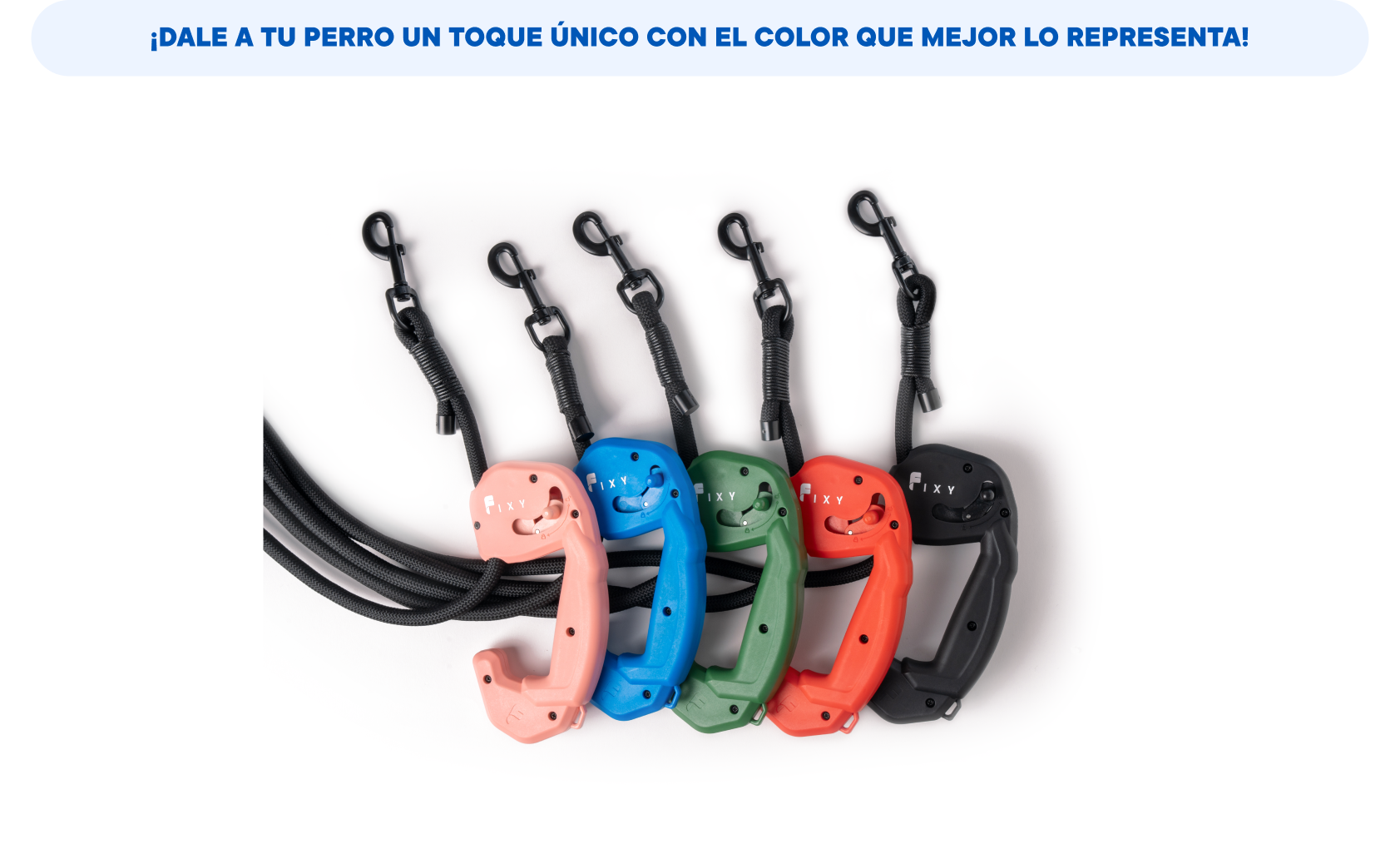 Correas-FIXY-COLORES