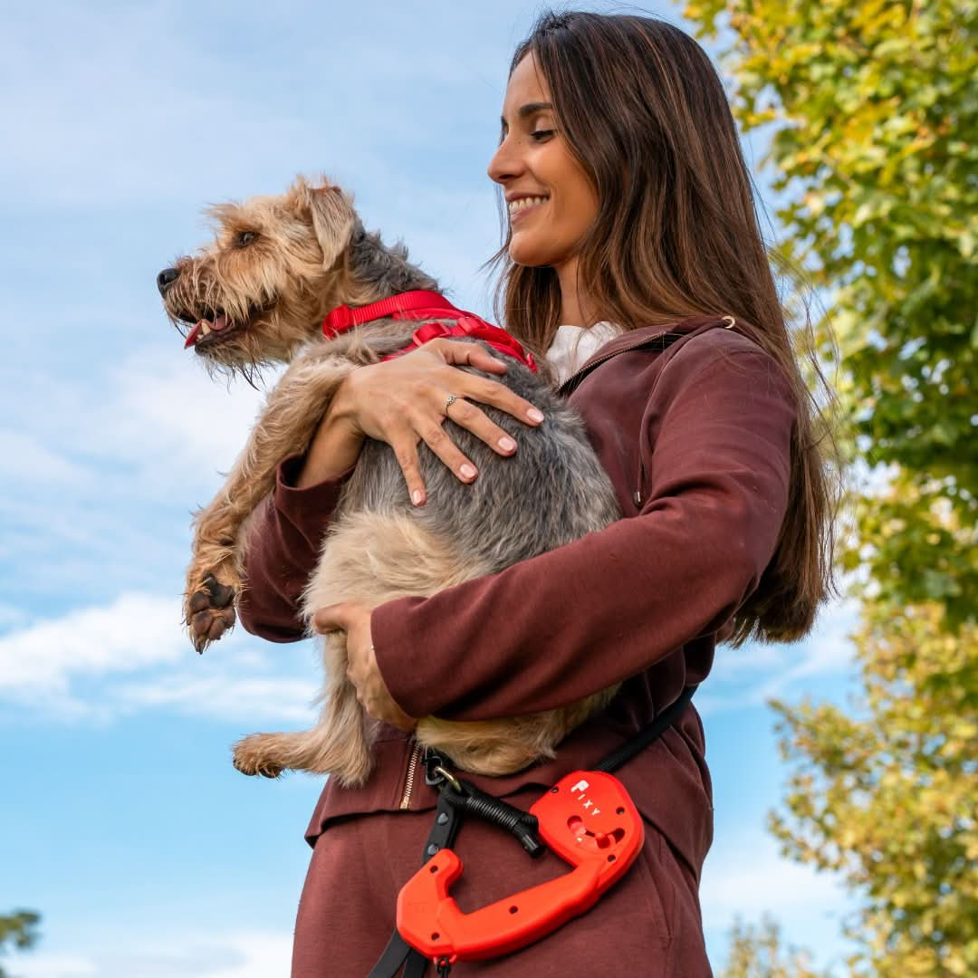 Correa FIXY rojo - FIXYPET